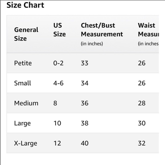 NWT VELVET BY GRAHAM & SPENSER GODESS MAXI  L - Picture 7 of 7